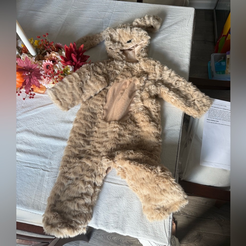 Pottery barn puppy costume